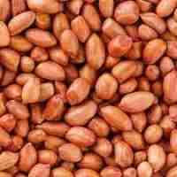 Beli Kacang Tanah Murah di Toko Sembako Sumber Bahagia (SB Grosir)